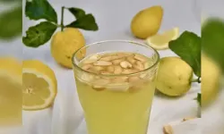 Alanya Fıstıklı Limonataya 'Coğrafi İşaret' Tescili