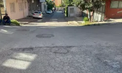 Sokakta Uyuyan Köpeği Ezip Kaçtı