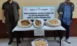 Araçta 86 Kilo Salep Soğanı Ele Geçirildi; 387 Bin Lira Ceza Uygulandı