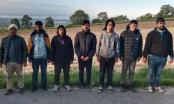 Edirne’de 19 Kaçak Göçmen Yakalandı