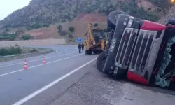 Devrilen TIR’ın Sürücüsü Yaralandı, Dorsedeki 100 Koyun Öldü