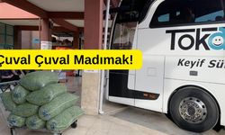Tokat'ta Madımak Fiyatları Uçuşa Geçti: Aileler Sevdiklerine Otobüslerle Gönderiyor