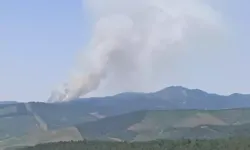 Orman Yangını; Karadan Ve Havadan Müdahale Ediliyor