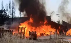 İzmir'de Ot Yangını Fabrikaya Sıçradı