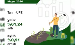 Tarım Ürünleri Üretici Fiyatları Aylık Yüzde 0,91 Azaldı