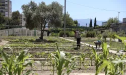 Karşıyaka’da Tohumlar Toprakla Buluştu