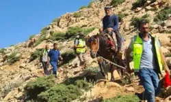 Gıdadan Zehirlenen Çoban, At Sırtında 6 Saatte Ambulansa Ulaştırıldı