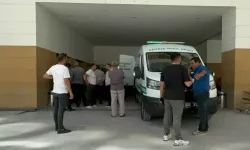 Hafif Ticari Araç Devrildi: 3'ü Çocuk 4 Ölü, 2 Yaralı