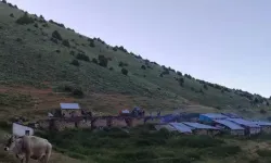 Soba Borusundan Çıkan Yangında 5 Yayla Evi Zarar Gördü