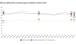 TÜİK: Güven Endeksleri Azaldı