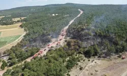 Orman Yangını, Erken Müdahaleyle Büyümeden Kontrol Altına Alındı