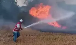 Anız Yangını, Ormana Da Sıçradı; 56 Dekarlık Alan Zarar Gördü