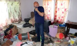 Tahliye Ettirdiği Kiracısından Geriye Harabe Ev İle Onlarca Kedi Ölüsü Kaldı