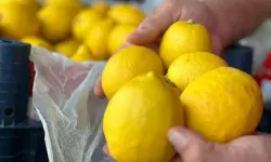 Domatesin Fiyatı Düştü, Limonun Arttı