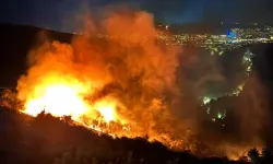 Orman Yangının Nedeni; Ters Çevrilen Mangal