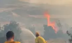 Kahramanmaraş’taki Yangınlar Kontrol Altında