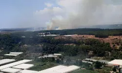 Antalya'da Orman Yangını