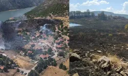 Ankara'da Örtü Yangınında 10 Hektar Alan Zarar Gördü