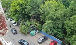 Kuvvetli Rüzgar; Ağaçlar Park Halindeki Araçların Üzerine Devrildi