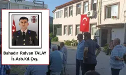 Sakarya'ya Şehit Ateşi Düştü