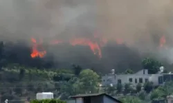 Hatay’da Yerleşim Yeri Yakınında Orman Yangını