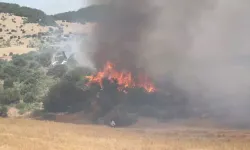 Edirne'de Yerleşim Yerlerine Yakın Tarlada Yangın; 50 Dönüm Alan Zarar Gördü