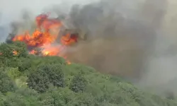 Çanakkale'deki Orman Yangınında 2'nci Gün