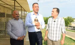 CHP Milletvekilleri Yenişehir Belediyesi’nin Hayvan Bakımevini Gezdi