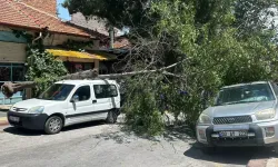 Kütahya’da Ağaç 2 Aracın Üzerine Devrildi