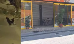 Ankara'da Kavga Sonrası Mahallede, Polis Nöbet Tutuyor