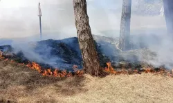 İznik Gölü Sahilindeki Piknik Alanında Yangın