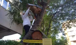 İstanbul'da Teleferik Sistemiyle Topladığı Balları Vatandaşlara İkram Etti