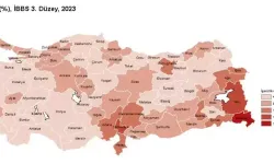 TÜİK: İşsizlik Oranı En Yüksek İl Hakkari, En Düşük İl Sinop