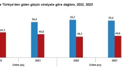 Türkiye'den Yurt Dışına Göç Arttı