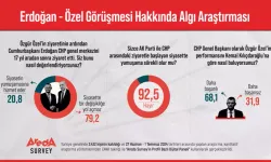 Vatandaşların Yüzde 92,5’i Erdoğan-Özel Görüşmesinin Uzun Vadede Siyasette Yumuşamaya Sebep Olmayacağını Düşünüyor