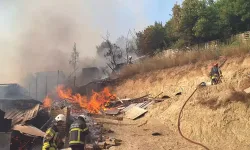 İzmit'te Ahır Yangını; 13 Hayvan Öldü