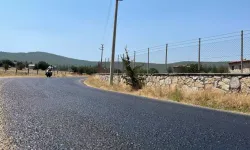 Bodrum'da 45 Derece Sıcakta Asfalt Eridi