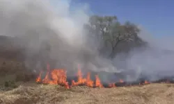 Yangın İtfaiye Ekipleri Tarafından Söndürüldü