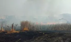 Silivri'de Otluk Alanda 10 Dakika Arayla İki Yangın Çıktı