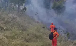 Ormanlık Alanda Çıkan Örtü Yangınları, Söndürüldü