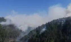 Kahramanmaraş’ta Orman Yangını; Fırnız'daki Yangın Devam Ediyor