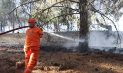 Gaziantep’te Orman Yangını Meydana Geldi