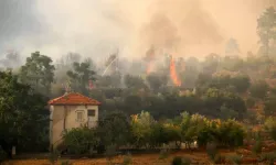 Antalya'daki Orman Yangınında 65 Hektar Kül Oldu