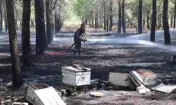 Antalya'da Ormanlık Alandaki Yangında Arı Kovanları Zarar Gördü