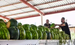 Denizli'de Ürünü Elinde Kalan Karpuz Üreticisine Destek