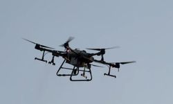 Tokat'ta Sinek Ve Lavralara Karşı Drone İle İlaçlama