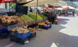 Erbaa’da Yerli Sebzeler Çıktı Semt Pazarında Fiyatlar Düştü!