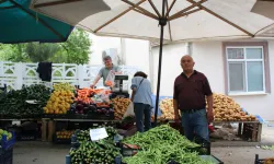 Erbaa Cumartesi Pazarında Yerli Sebze Meyveler Çıktı Fiyatlar Düştü!