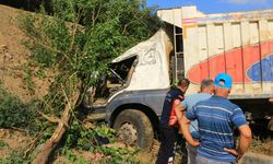 Erbaa'da freni boşalan kamyon Yol Kenarındaki Ağaçlara Çarparak Durduruldu, 2 Yaralı