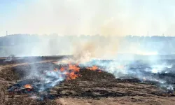 Tekirdağ'da Temmuz Ayında 911 Yangın Çıktı